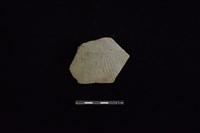 藏品(陶片)的圖片